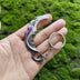 Argent & violet