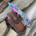 Rainbow & Case