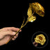 Gold Rose Flower
